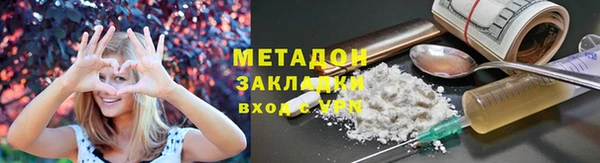 шишки Гусев