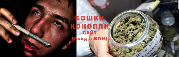 шишки Гусев
