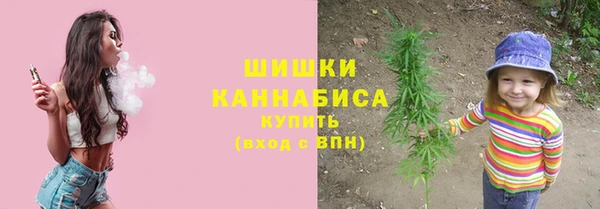 кристаллы Гусь-Хрустальный