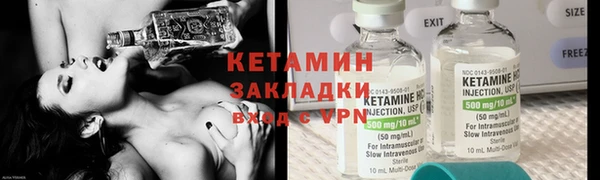 шишки Гусев