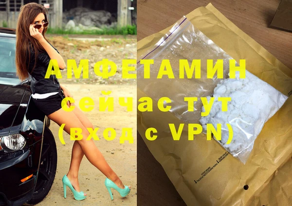 шишки Гусев