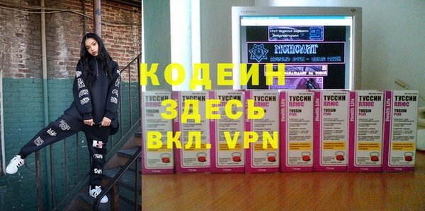 шишки Гусев