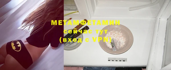 шишки Гусев