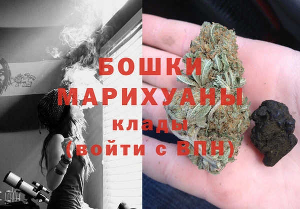 шишки Гусев