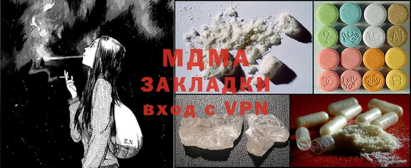 шишки Гусев