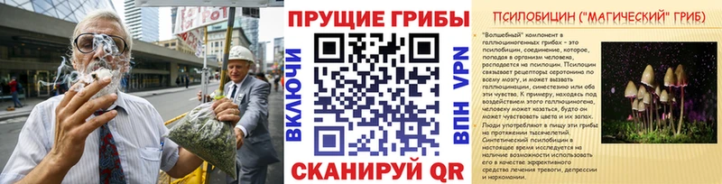 Купить закладки  Кашира  Галлюциногенные грибы Magic Shrooms 