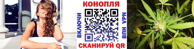 Бошки Шишки THC 21%  Купить где  Кашира 